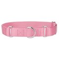 Mirage Pet Mirage Pet 124-1M PKSM Plain Nylon Martingale Dog Collar; Small - Pink 124-1M PKSM